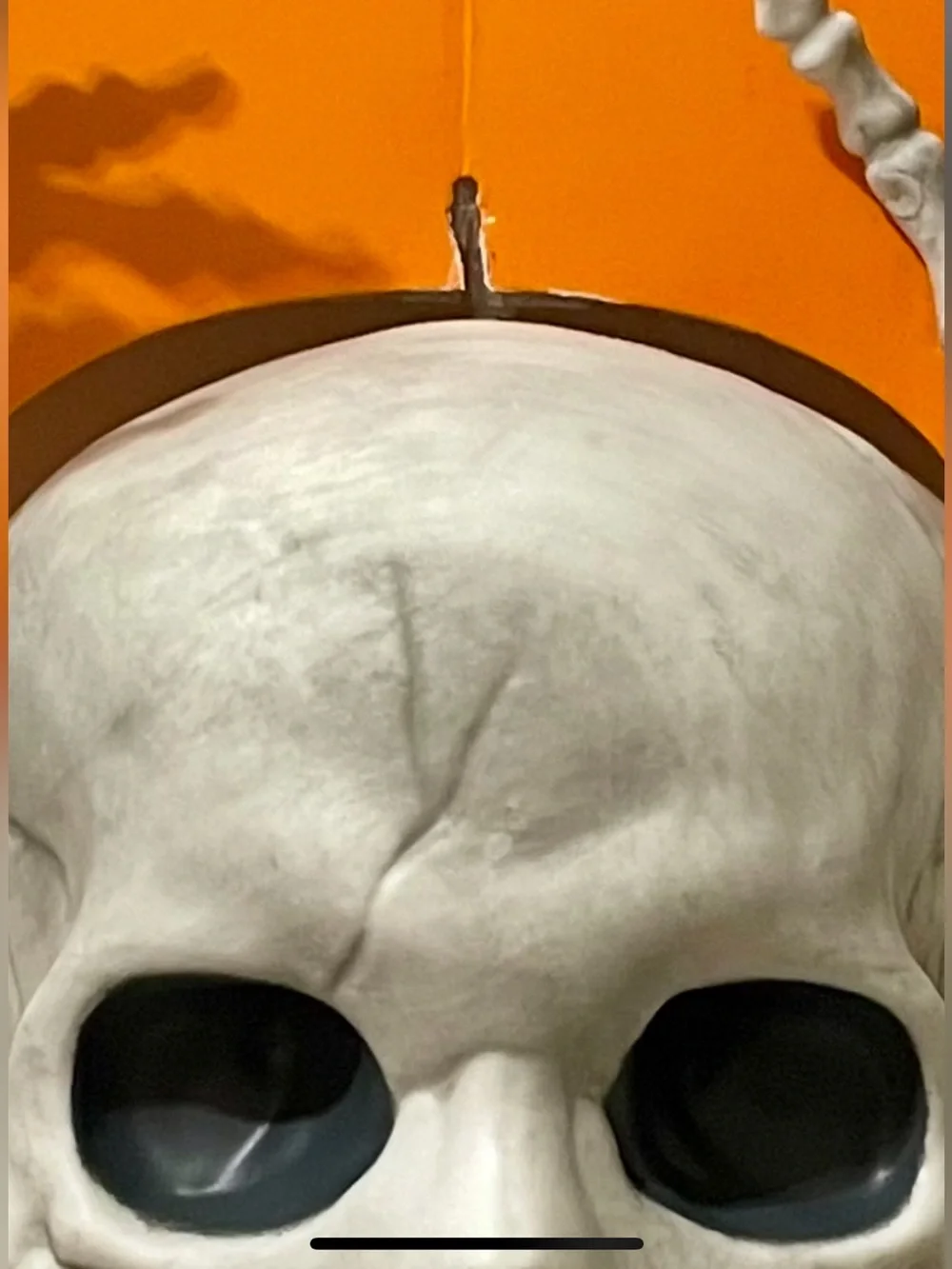Hyde & EEK! 5pc Skeleton Groundbreaker Set Halloween Decorative Prop